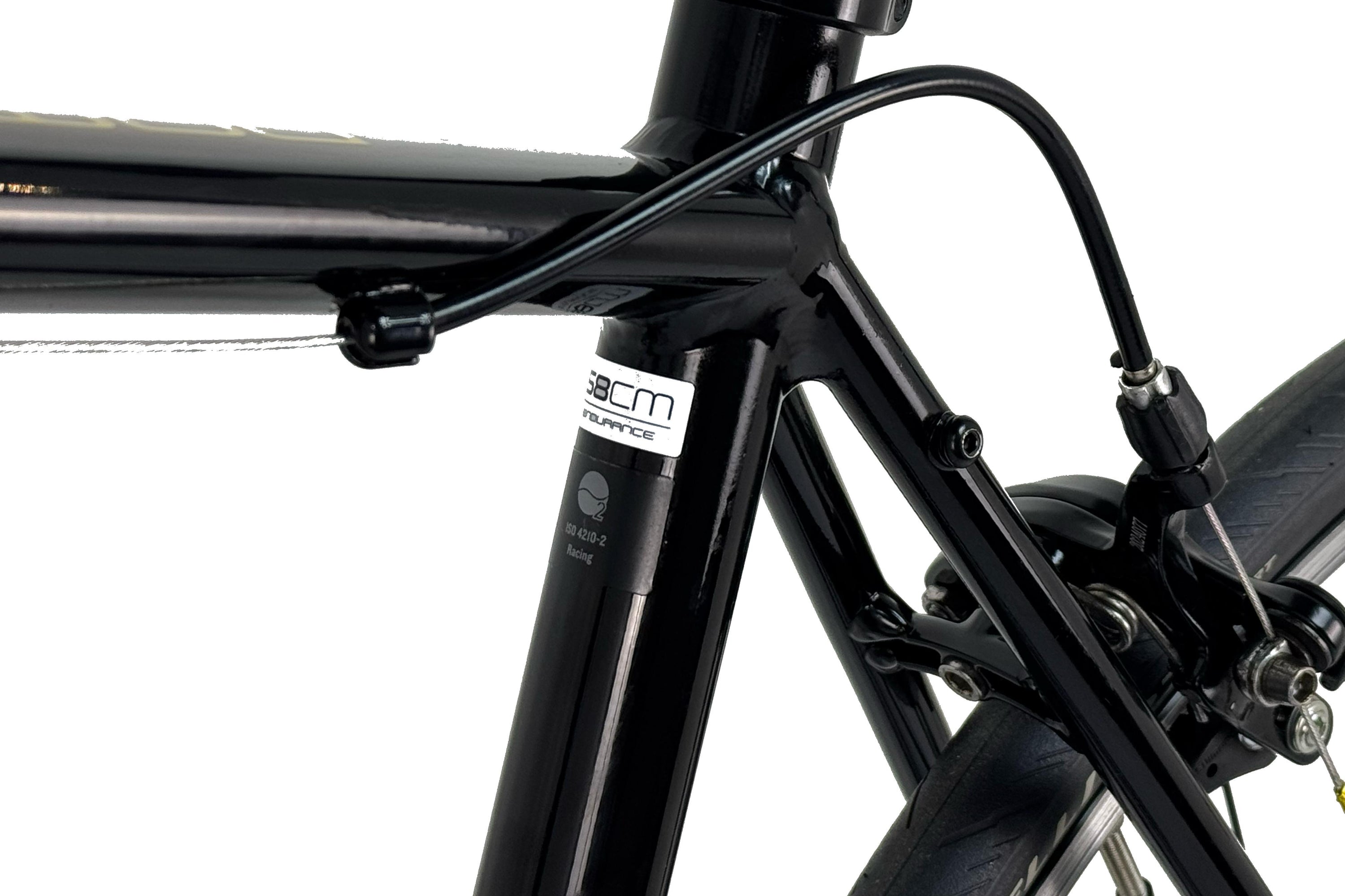 Trek Domane AL 2 2021 Talla 58