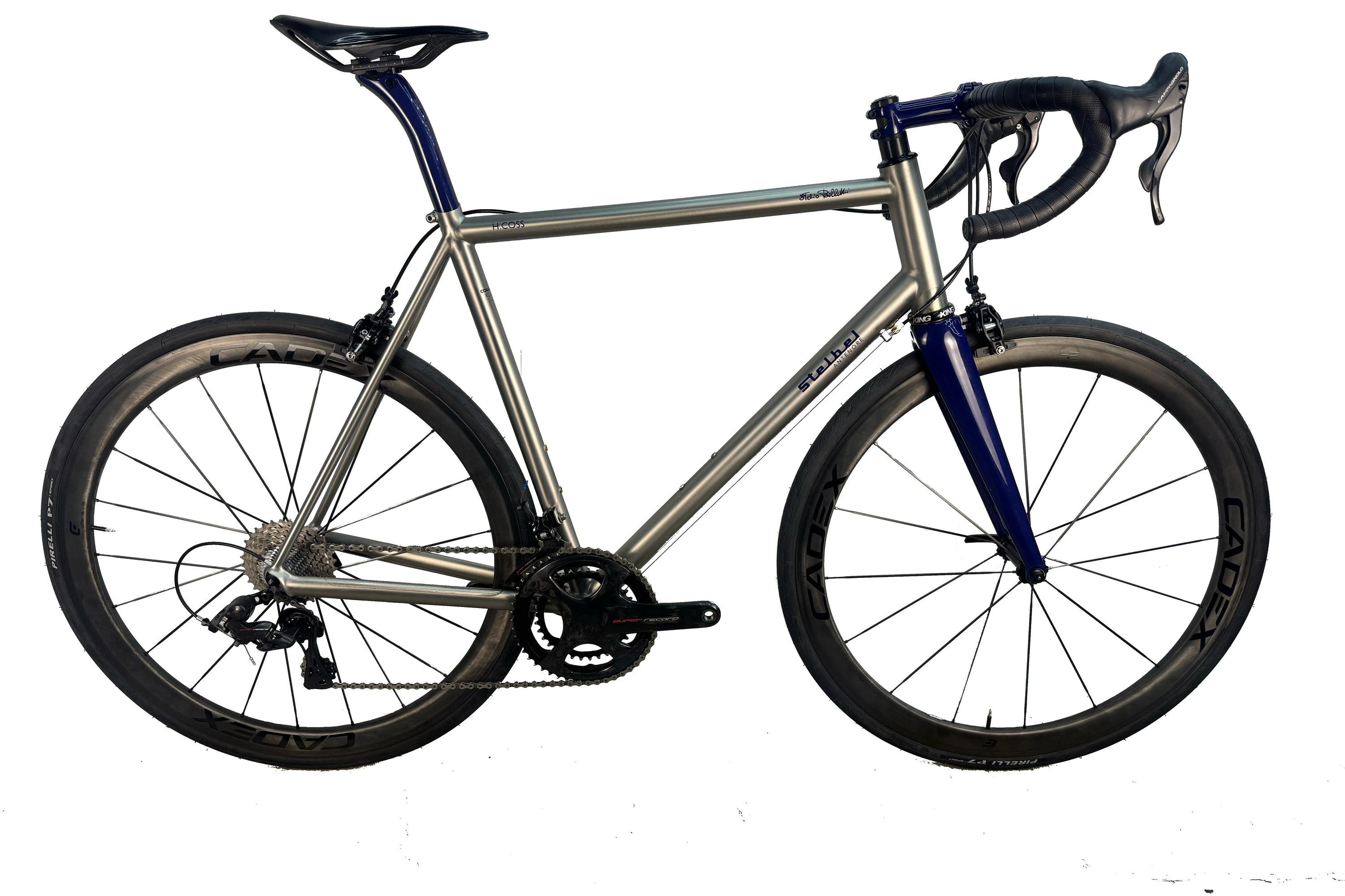 Stelbel Antenore Custom 2023 Talla L