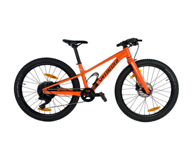 Specialized Riprock Coaster 20 2024 Talla 24