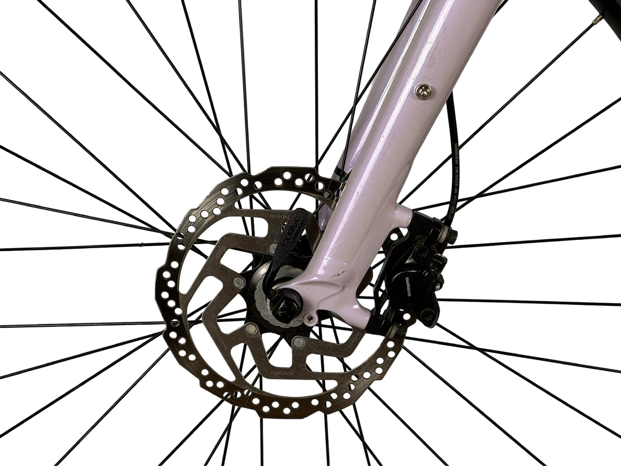 Specialized Roll Elite Low Entry 2020 Talla M