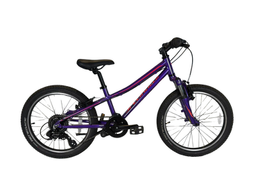 Specialized Riprock Coaster 20 2019 Talla R20