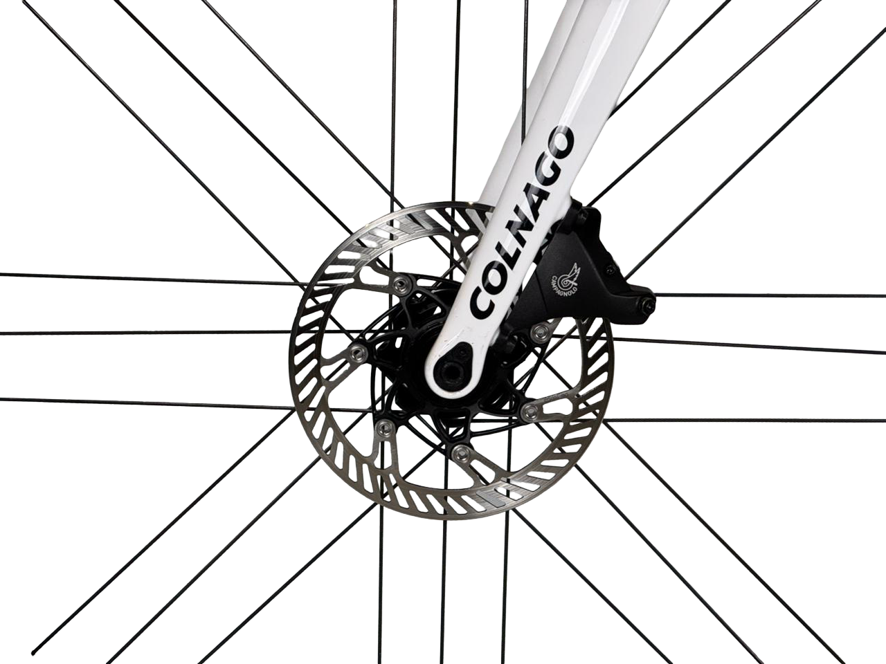Colnago V3RS Capsule Tadej Pogacar White Jersey 2021 Talla 57