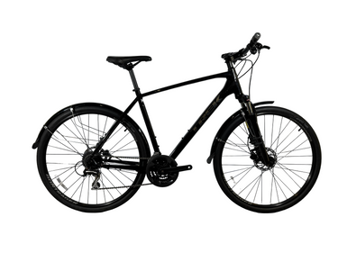 Trek Dual Sport 2 2020 Talla XL