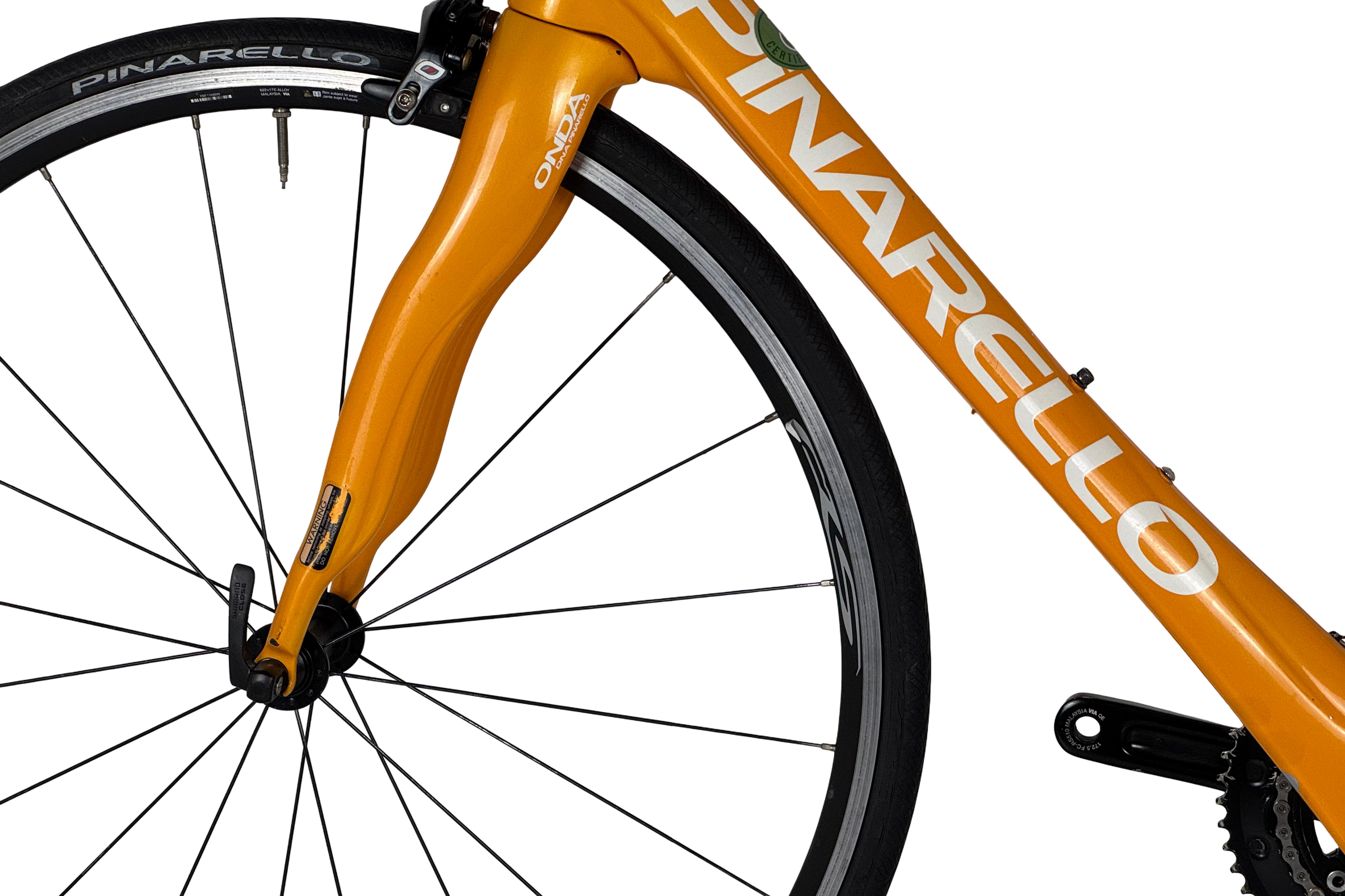Pinarello Razha 2019 Talla 55