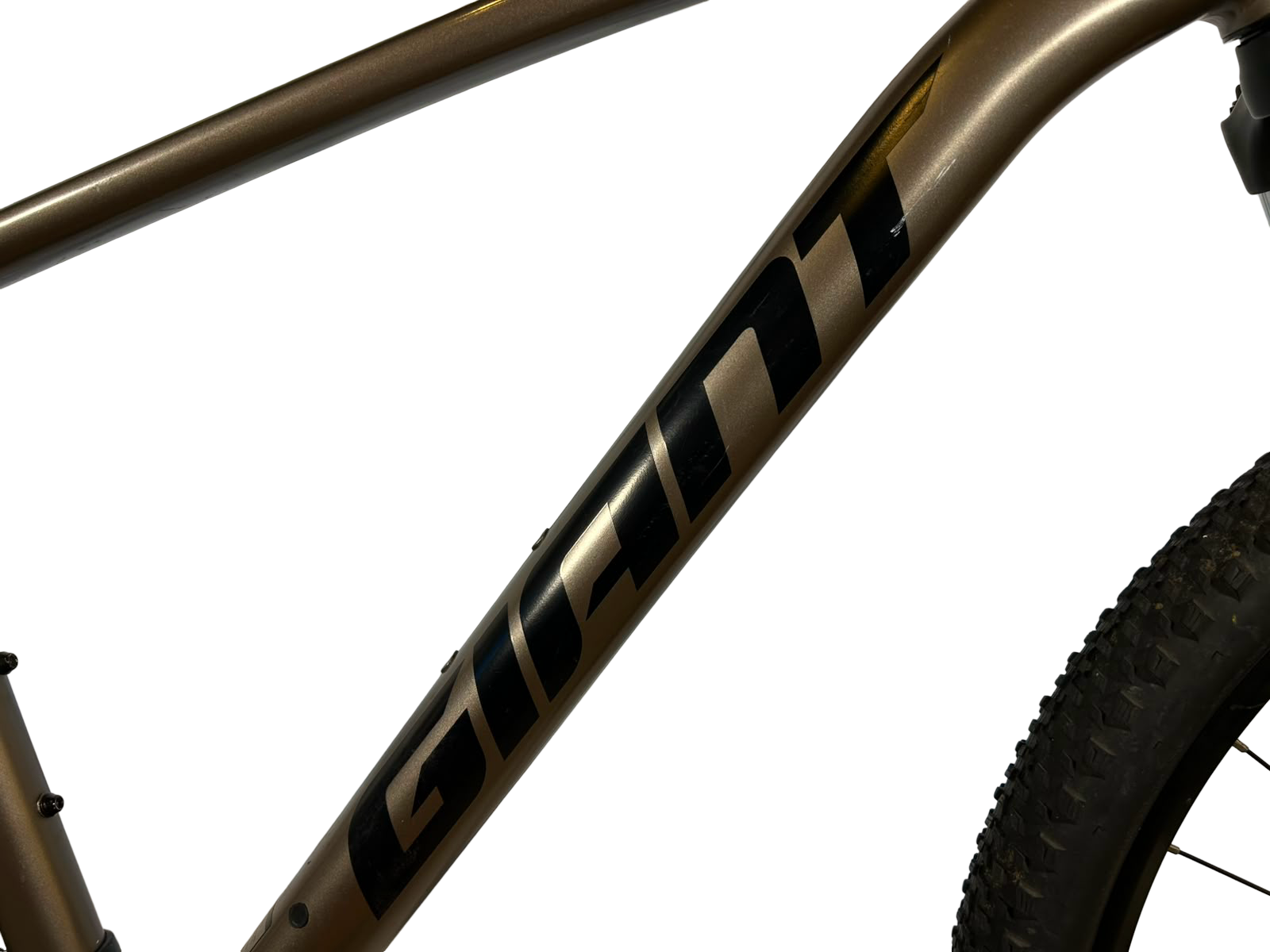 Giant Talon 4 2022 Talla M