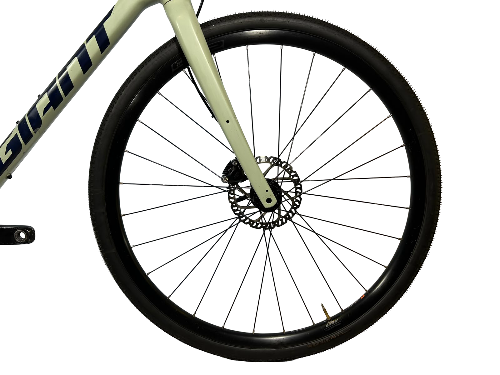 Giant Revolt 1 2022 Talla M