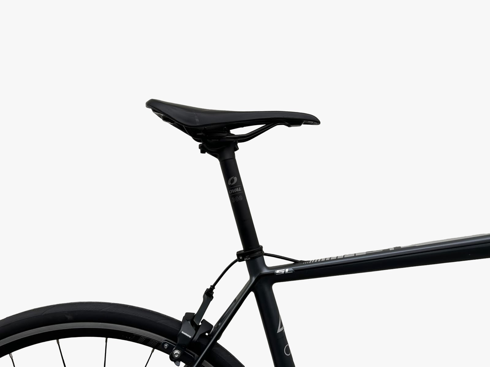 Fuji SL-A 2018 Talla 56